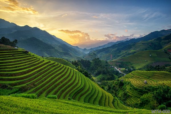 MTN-008_panorama-rice-fields-terraced-sunset-mu-cang-chai
