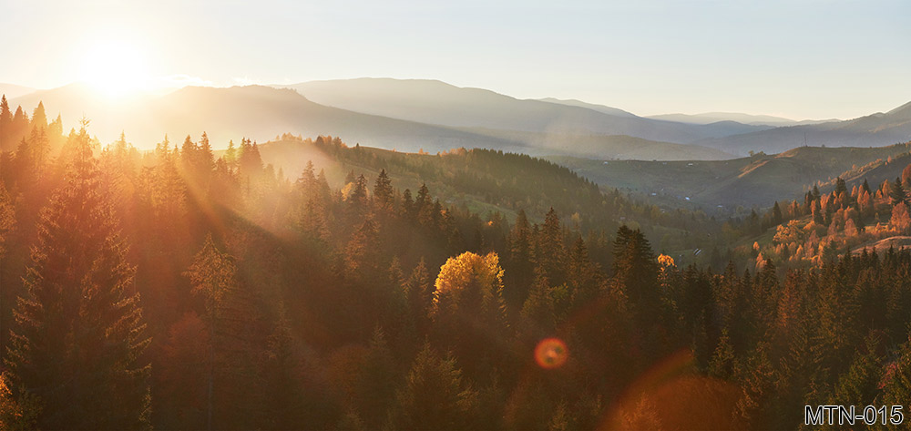 MTN-015_morning-fog-creeps-with-scraps-autumn-mountain-forest-covered-gold-leaves