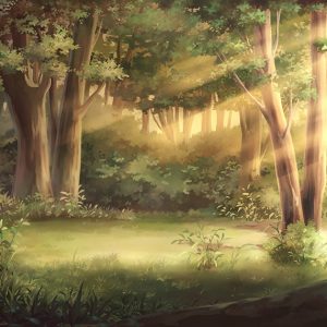 TRE-004_light-forest-illustration