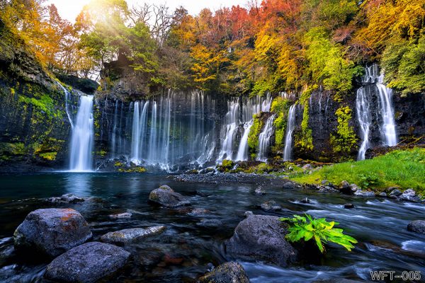 WTF-005_shiraito-waterfall-autumn-japan
