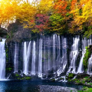 WTF-008_shiraito-waterfall-japan
