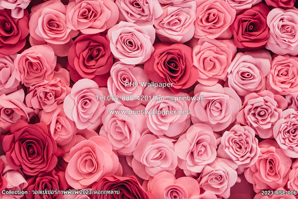 วอลเปเปอร์ติดผนัง วอลเปเปอร์ภาพพิมพ์ ดอกไม้ ดอกกุหลาบ ตกแต่งผนัง ตกแต่งบ้านสไตล์โรแมนติก วอลเปเปอร์วาไลนไท