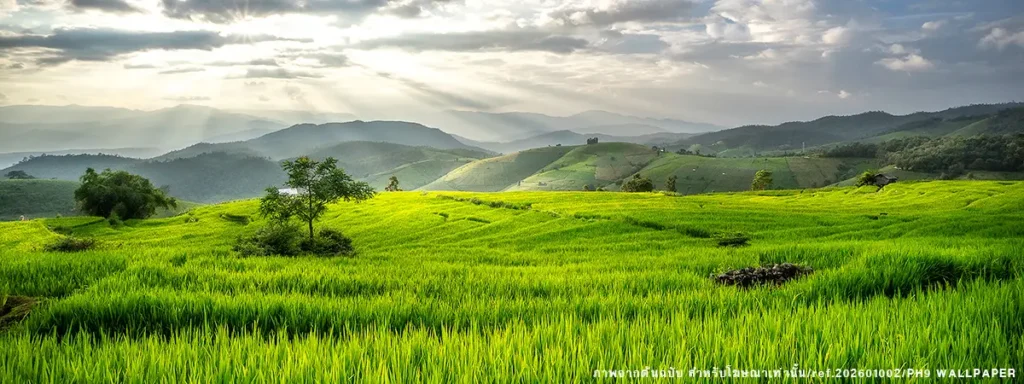 วอลเปเปอร์ภาพวิวภูเขา,สติ๊กเกอร์ภาพวิวภูเขา,ภาพวิวธรรมชาติ